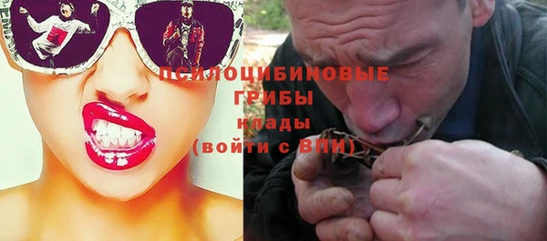 трава Протвино