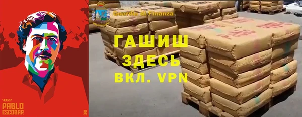 молекула духа Алексин