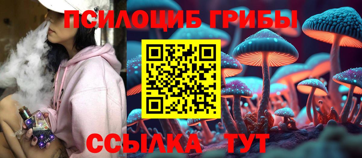 Галлюциногенные грибы MAGIC MUSHROOMS  Вход с VPN  Галлюциногенные грибы Magic Shrooms  где купить   Энгельс 